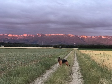 VERCORS